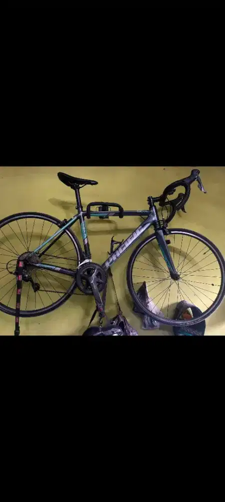 Dijula roadbike pacific thractor 3.0 endurance
