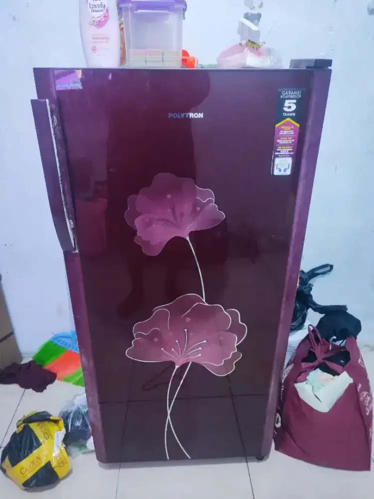 KULKAS POLYTRON