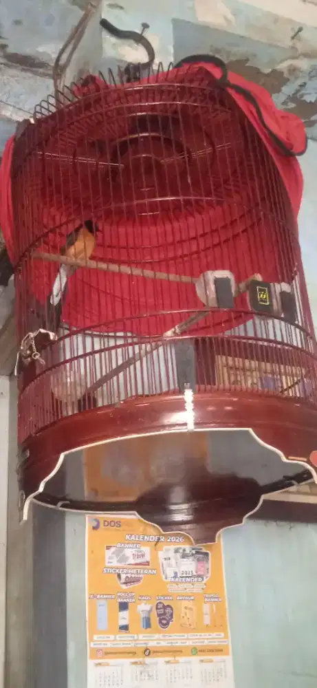 Murai batu MAPAN di BSD