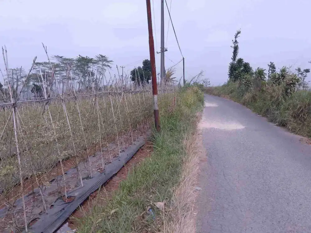 di jual lahan akses jalan aspalt view gunung di Lido cigombong