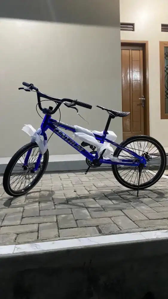 Sepeda BMX Ring 20