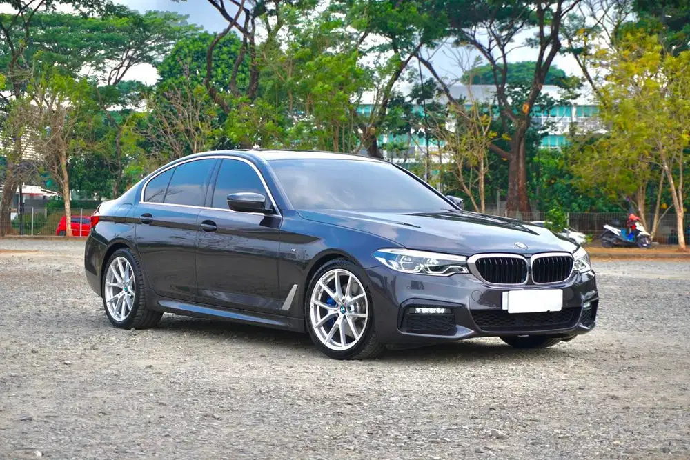 BMW 530i G30 MSport B48 2019 / 2020