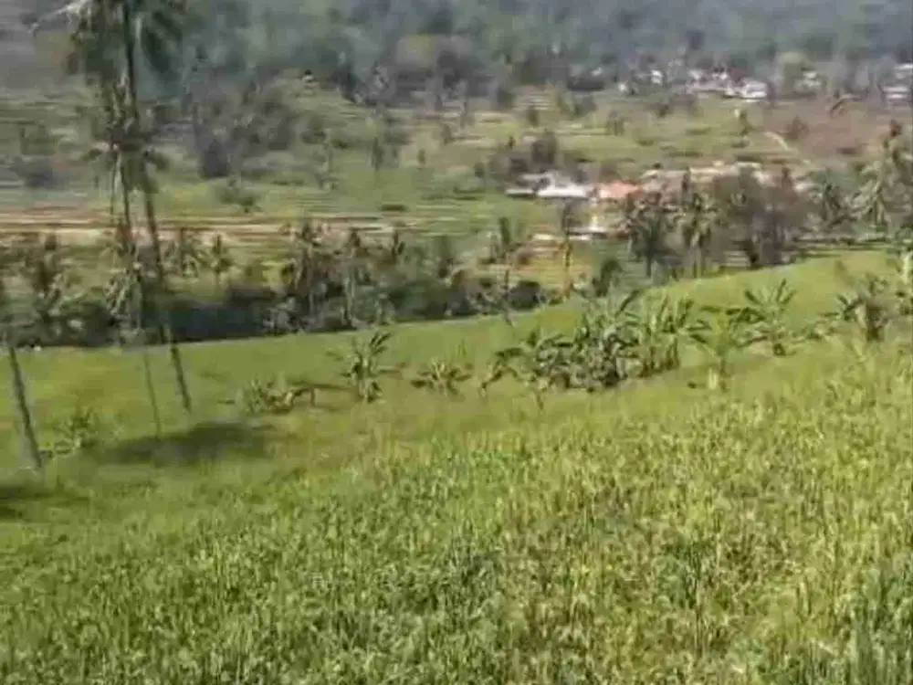 Sawah di jual View Gunung nempel kali dekat Kota bunga Puncak Cianjur