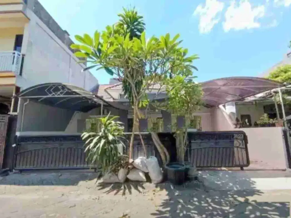 Dijual Rumah Palm Spring Jambangan Surabaya
