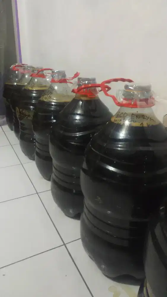echo enzime nanas 20 liter