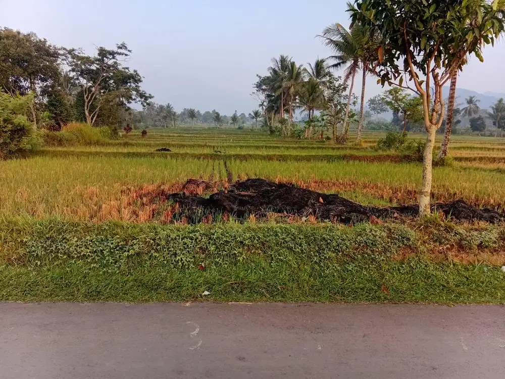 DI JUAL SAWAH PINGGIR JALAN STRATEGIS
