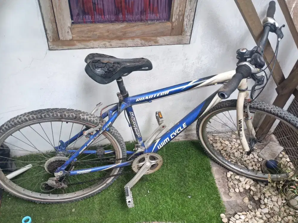 Sepeda gunung Wimcycle RoadtechNego in aja