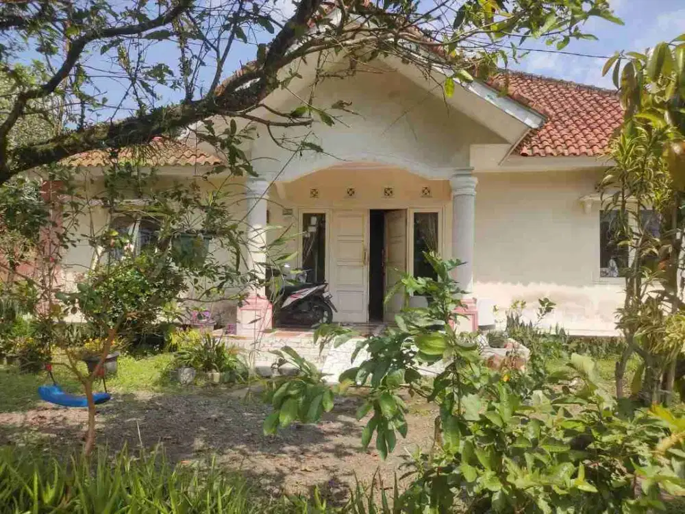Rumah kampung yang sejuk Di ciwalen Taman bunga cianjur