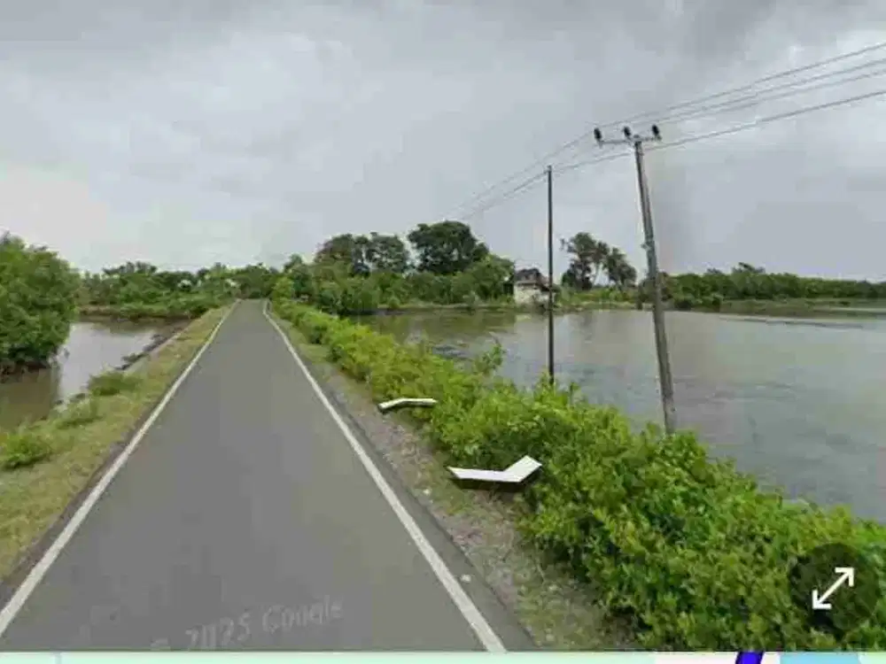 DIJUAL EMPANG TAKALAR KEC MARBO