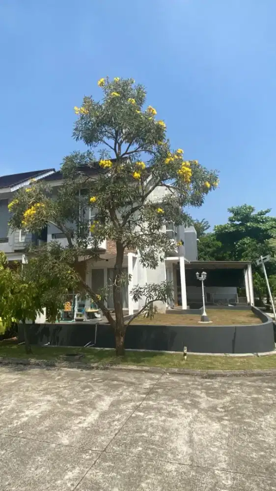 Dijual rumah hoek harapan indah