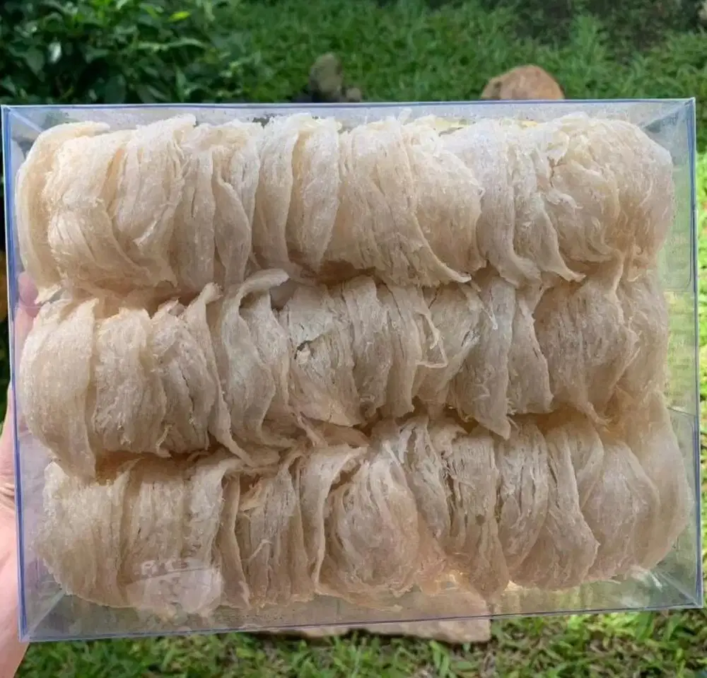 Sarang Burung Walet Mangkok 500GR Promo