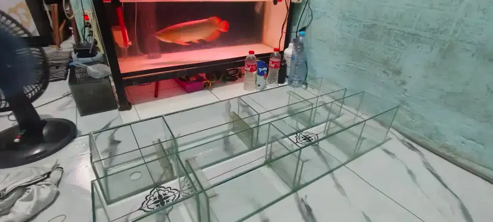 Top Filter aquarium kaca 100x15x15