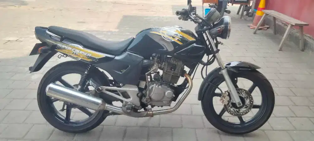 Tiger lama 2004 cruisser