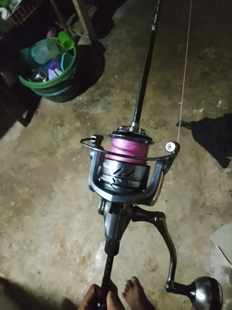 Reel pancing sea and king