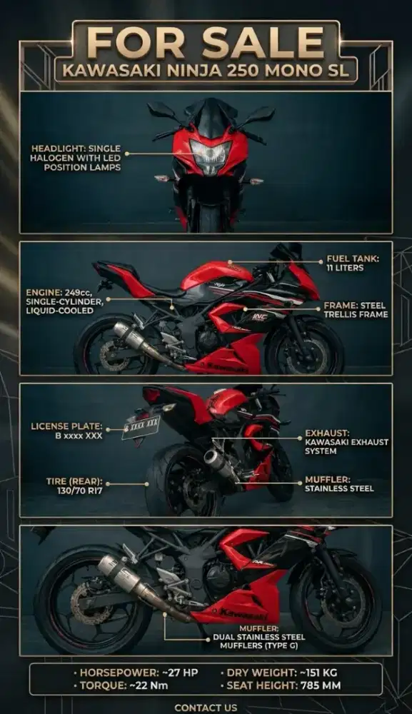 Ninja 250 mono SL 17 JT Nego