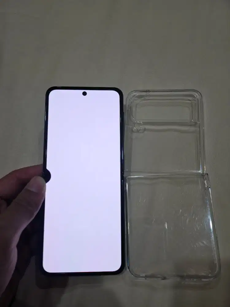 Z Flip 4 Sein Nego