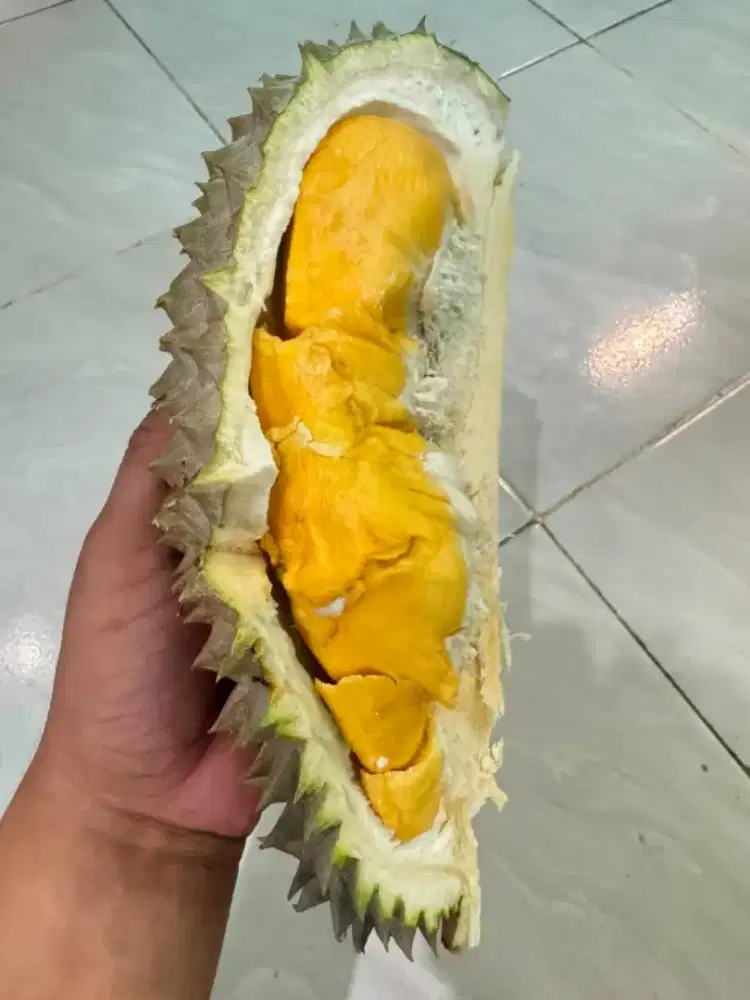 Durian bawor banyumas oren