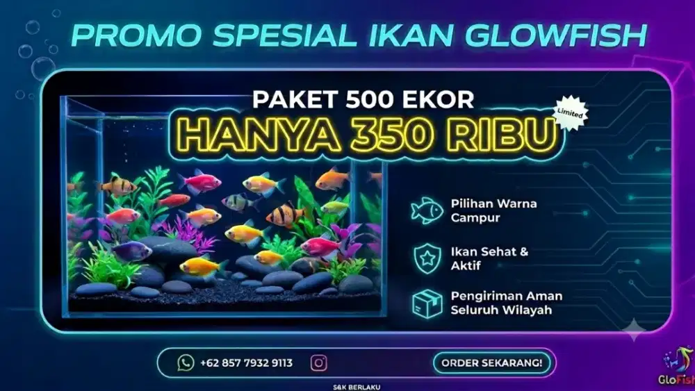 Glowfish tetra paket 500 ekor
