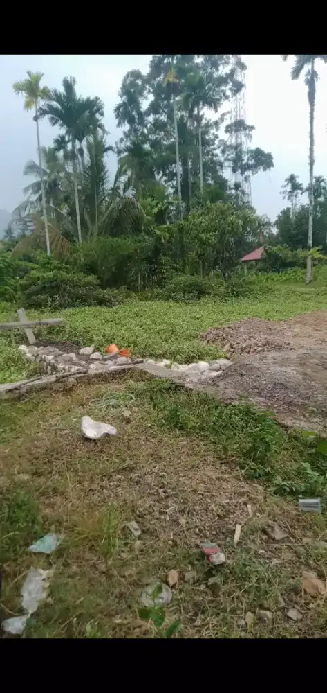 Jasa tukang bangunan