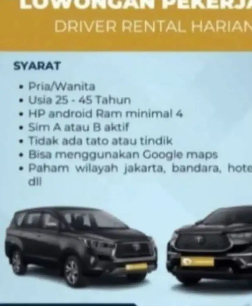 Pengemudi profesional