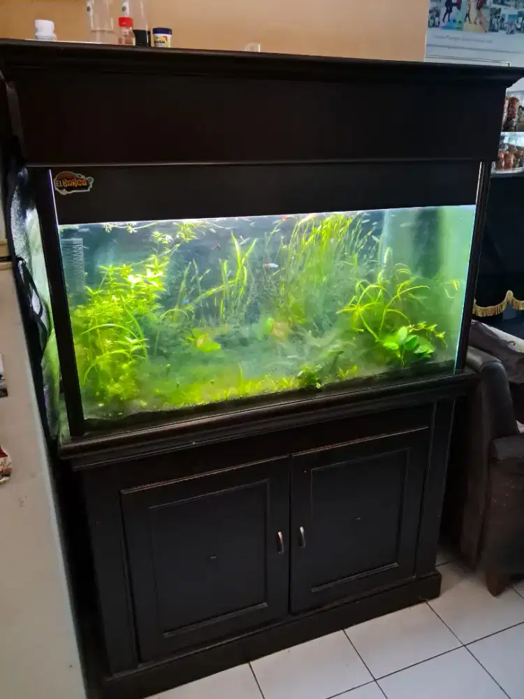 Aquarium Mebel Jati Tua