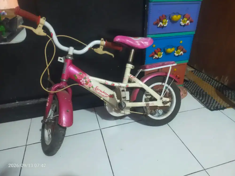 Sepeda anak murah ori