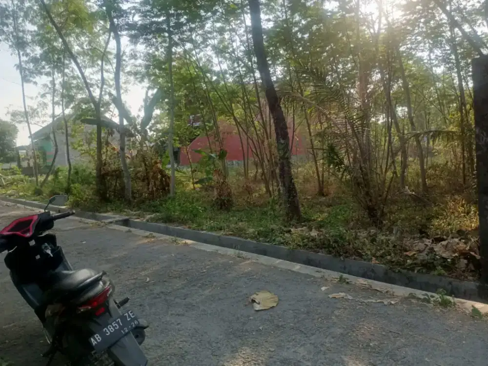 Disewakan tanah murah di jl lpmp plasan Tirtomartani Kalasan