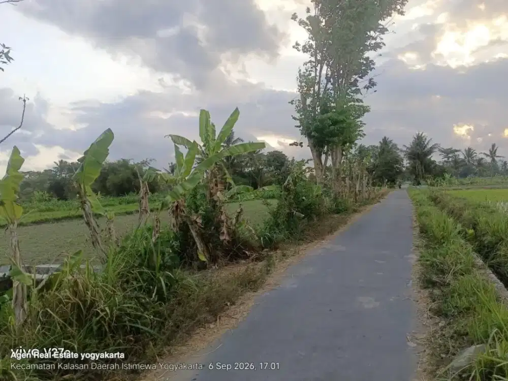 Dijual sawah murah di surokerten selomartani kalasan dibawah pasar