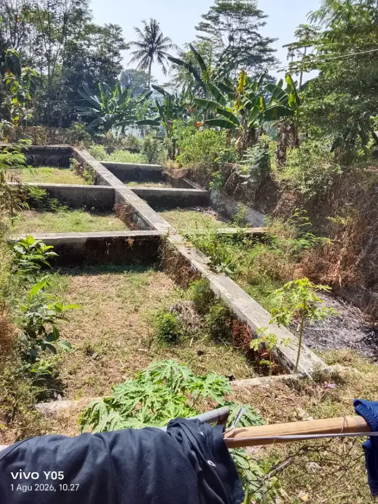 dijual tanah desa cikalahang pajaten blok 3 dukupuntang cirebon