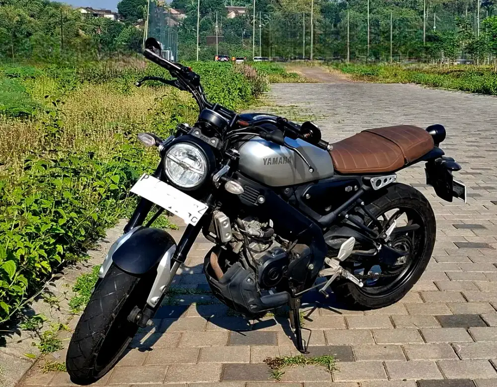 XSR 2020 standard
