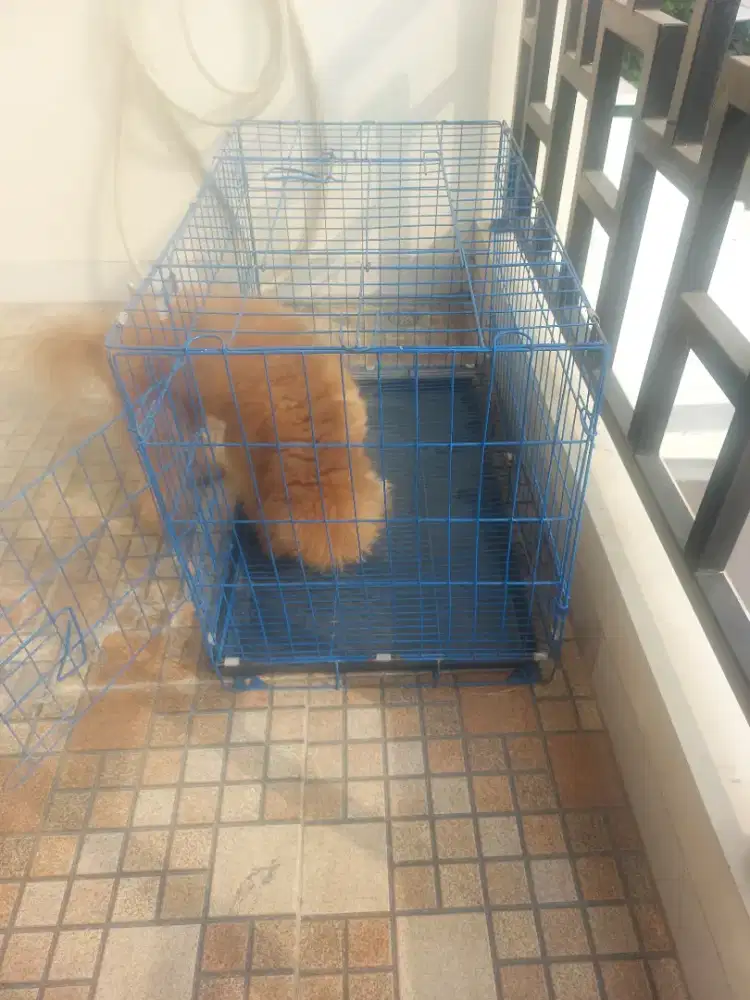 Kandang Anjing 76 x 45 cm