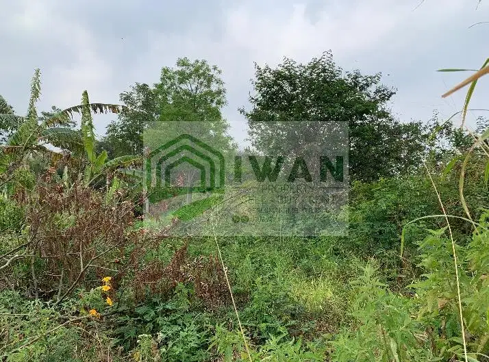 Tanah Iklim Sejuk Luas & Murah Dengan View Alam