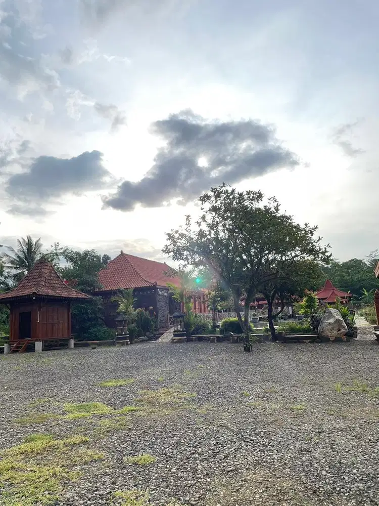 Cari untuk momong anak