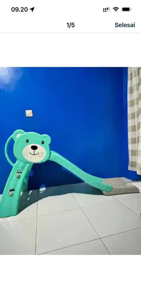 Perosotan Anak Molion