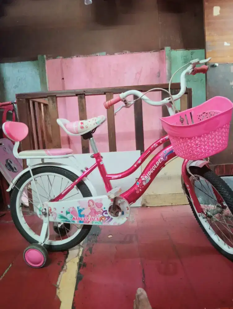 Sepeda Anak Perempuan
