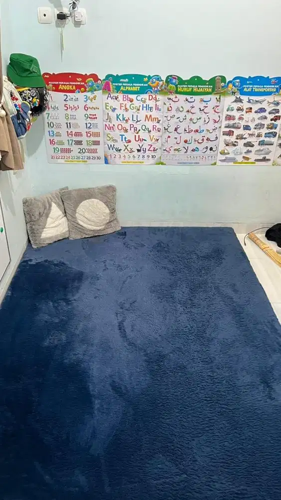 Karpet Bulu Tebal