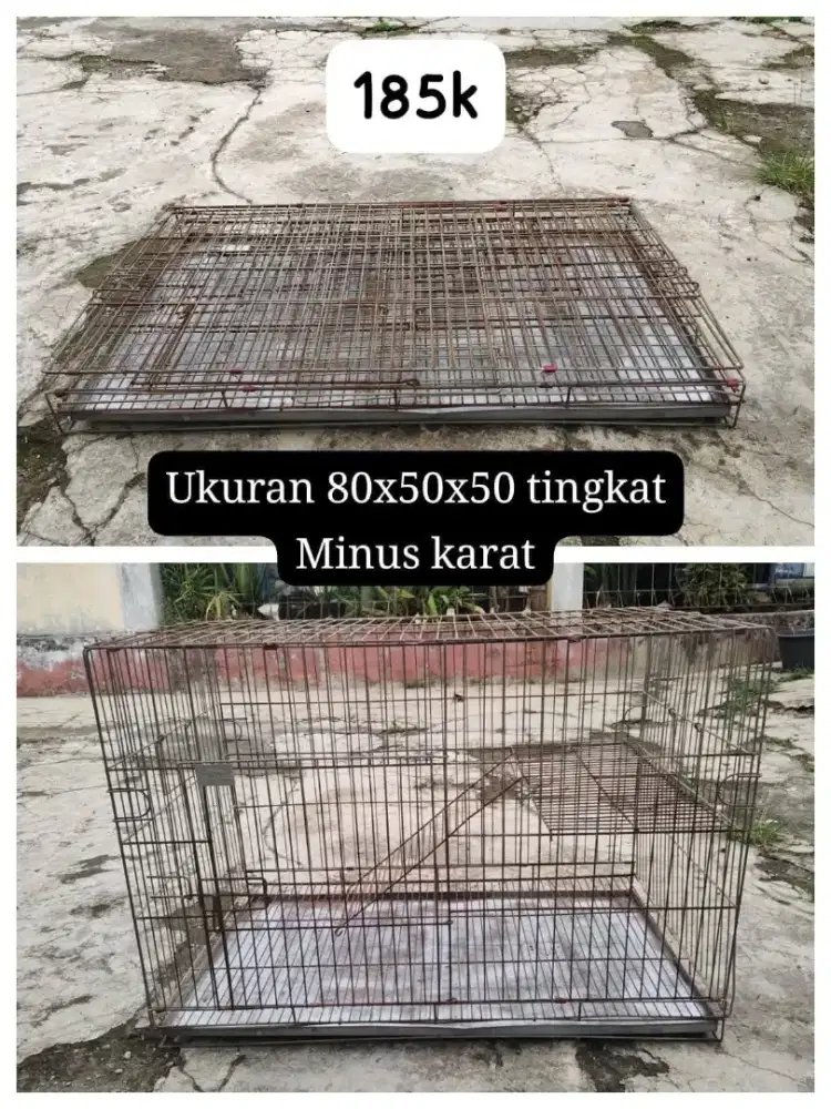 Kandang kucing tingkat