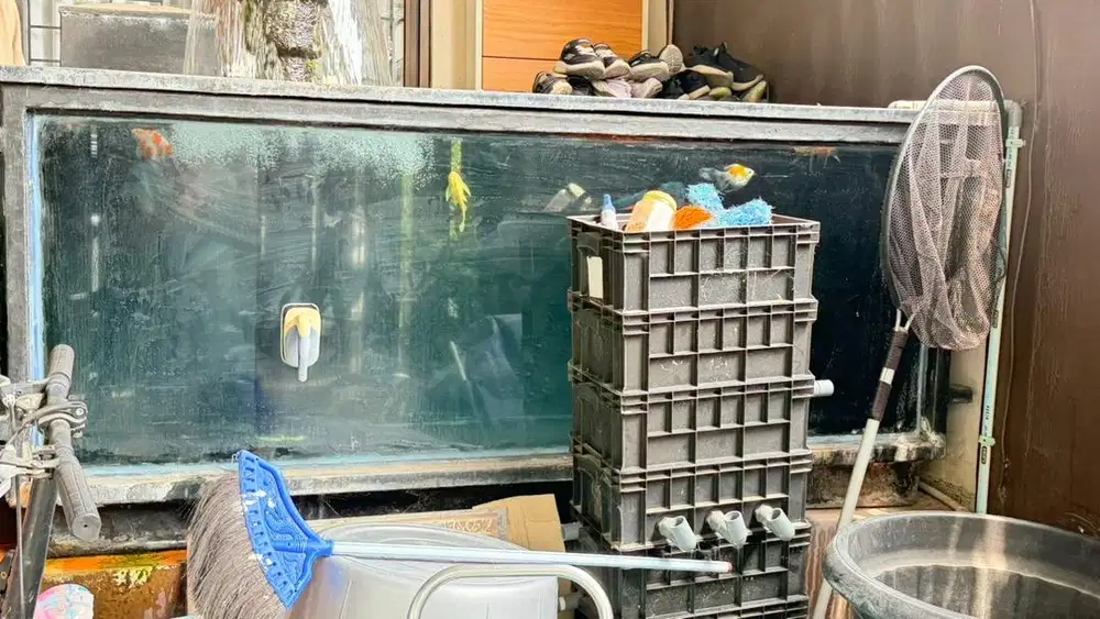 Kolam ikan fiber beli 8jt