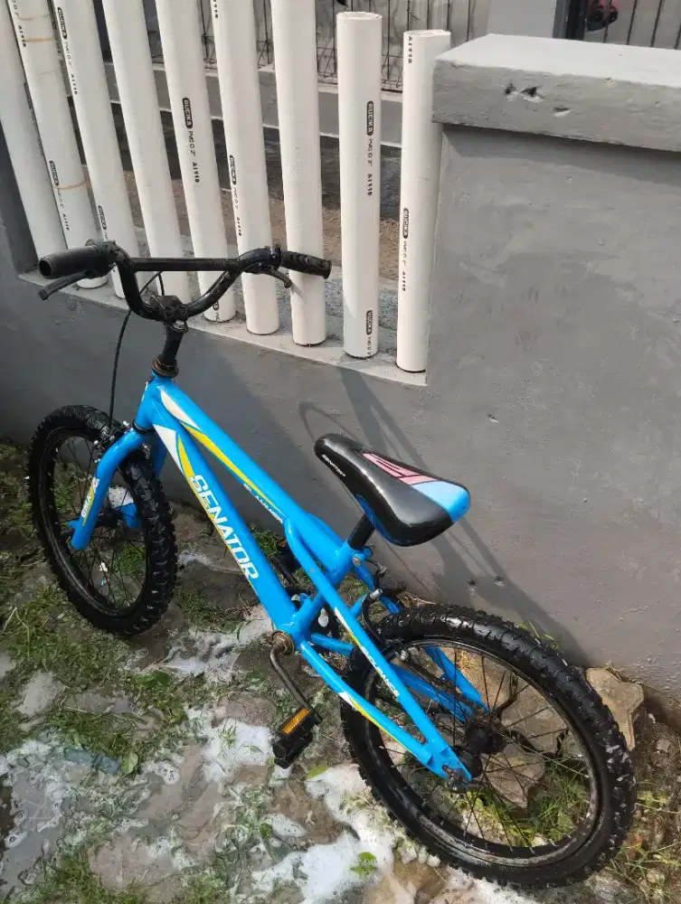Sepeda senator BMX 18