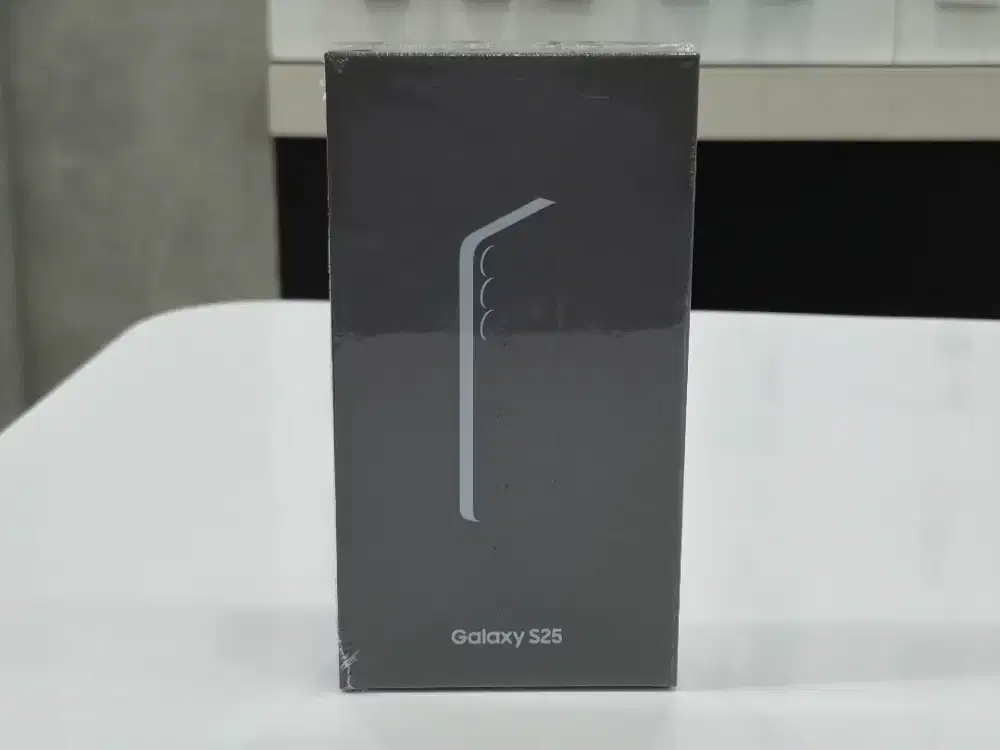 Samsung Galaxy S25 Basic Segel BNIB
