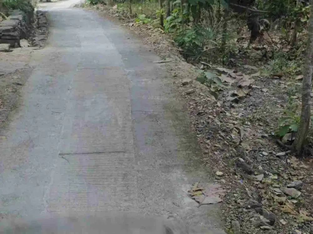 Tanah Murah dekat Kawasan industri Sentolo