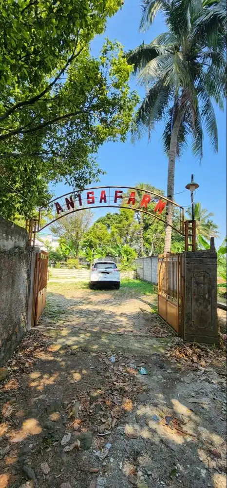 Disewakan Tempat Usaha Pertanian dan Budidaya Pangan