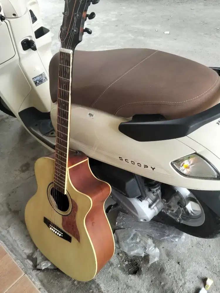 Gitar acoustikke