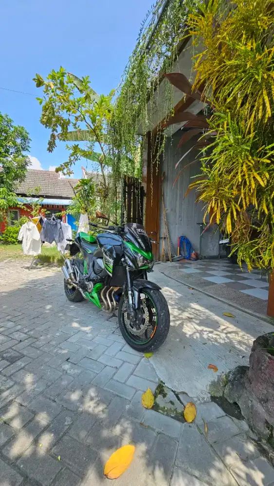 Kawasaki Z800 ijo