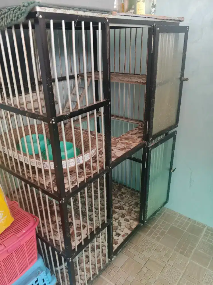 Kandang kucing 2 Tingkat
