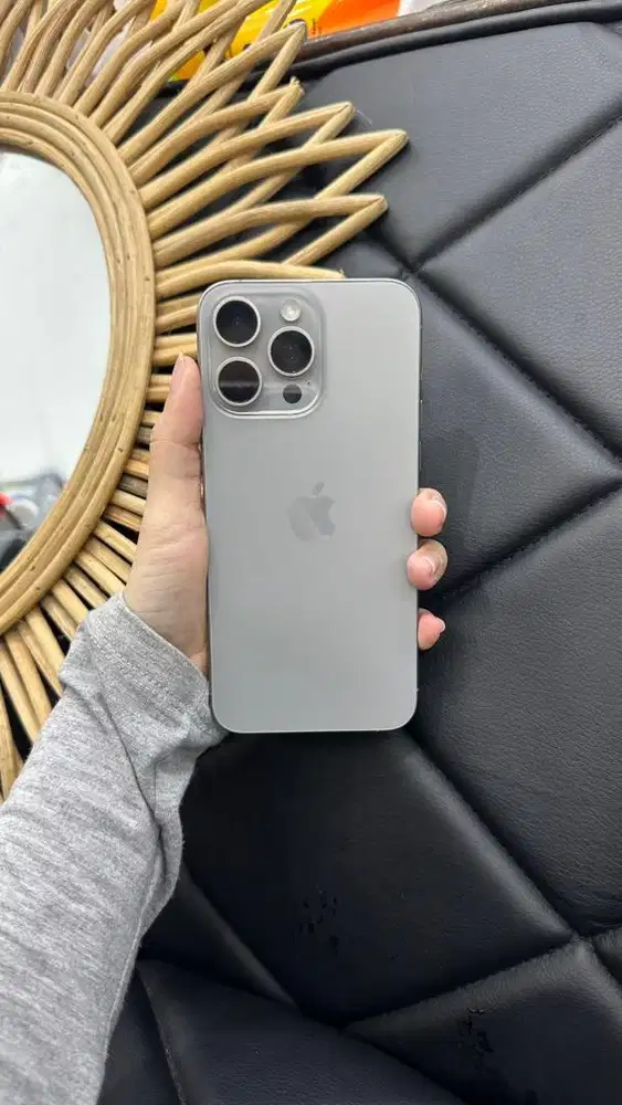 Ip 15 Promax Natural 256gb