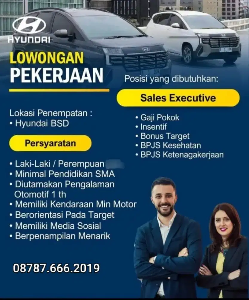 Sales Consultant Hyundai