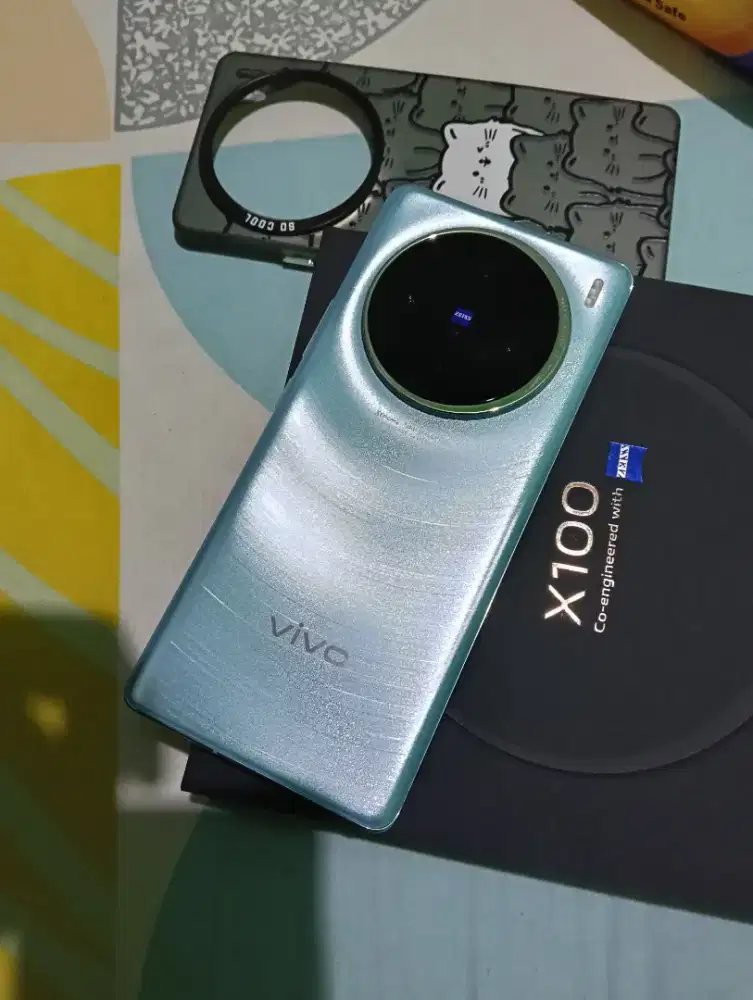 Vivo X100 Basic 12+12/256 mulus