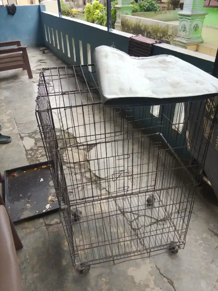 Dijual kandang kucing bekas cukup baik, 100.000RP aja, bisa nego sikit