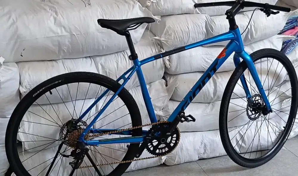 SEPEDA GIANT ESCAPE TH.2021
